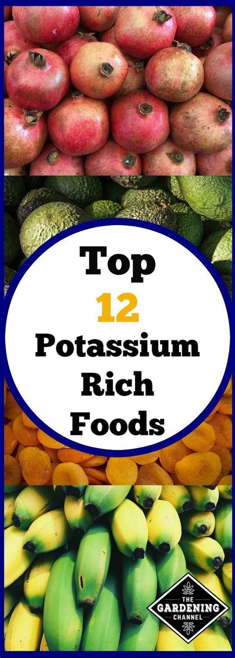 12 top vegetable and food sources of potassium potassium rich foods