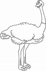 Avestruz Desenhos Ostrich Colorir Avestruces Pintarcolorir Animales Publicada sketch template