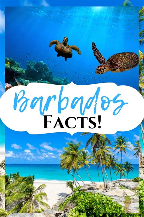 Barbados Facts Interesting Facts About This Caribbean Island