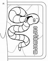 Earthworm Coloring Pages Color Worm Animals Earth Wallpaper Printable Animal Print Back sketch template