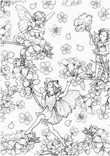 Coloring Fairies Fairy Pages Flower Book Drawings Color sketch template