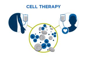 generation outcomes data  advance future cell therapies