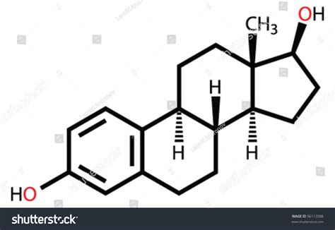 Female Sex Hormone Estradiol Structural Formula Stock Vector