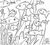 Fish Coloring Ausmalbild Doodles Mit Fischen Printable Kostenloses sketch template