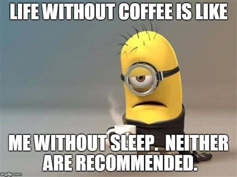 48 Hilarious Coffee Memes That Will Make Your Morning Brighter