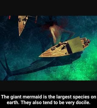 giant mermaids fantasy pictures picture prompts mermaid drawings