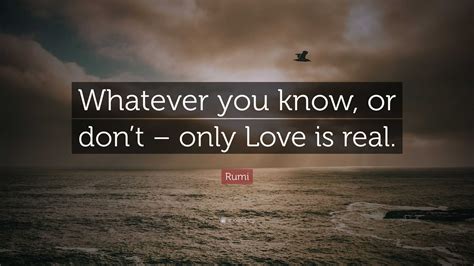 rumi quote     dont  love  real