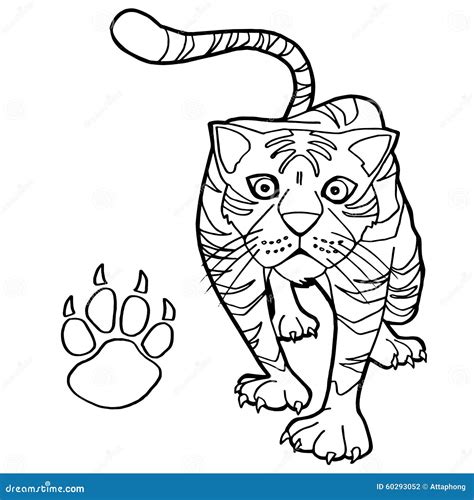 tiger  paw print coloring page vector stock vector illustration
