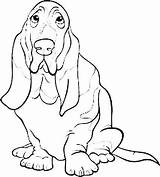 Hound Basset Cartoon Dog Coloring Drawings sketch template