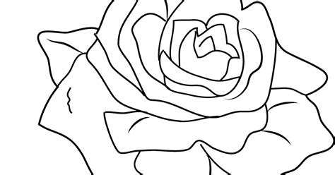 printable coloring pages roses roses coloring pages