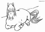 Pferd Schlafendes Pferde Ausmalbild Ausmalbilder Malvorlage Tiere sketch template