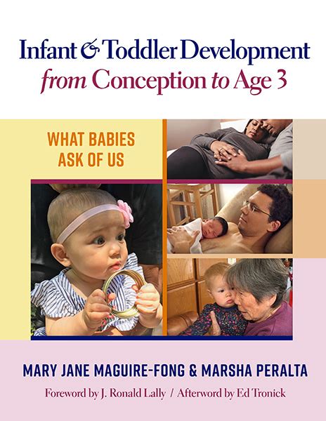 infant  toddler development  conception  age