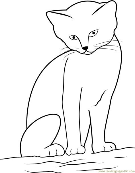 cat  cute  sitting  sand coloring page  cat