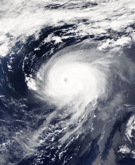 hurricane irene  wikipedia