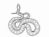 Snake Coloring Pages Printable Ninjago Kids sketch template