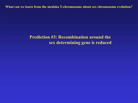 Ppt Evolution Of Sex Determination And Sex Chromosomes What Can We