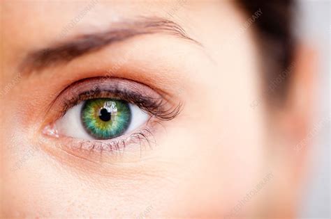 woman s eye stock image c032 9493 science photo library