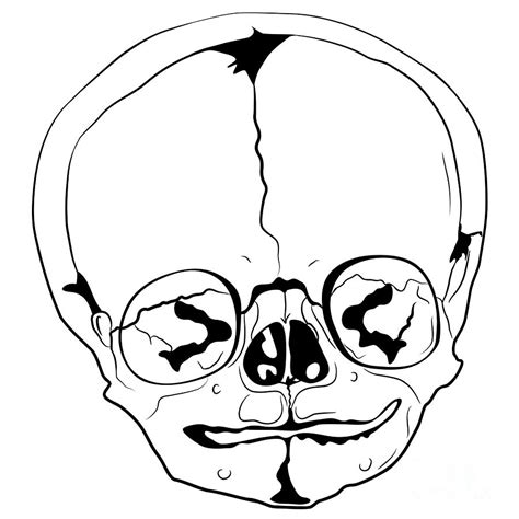 evil skull designs clipartsco