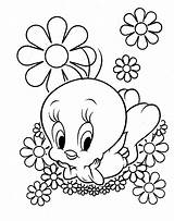 Coloring Pages Bird Tweety sketch template