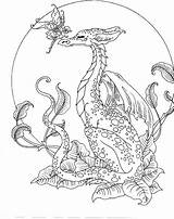 Dragons Colouring Fairies Colorear Adulte Mystical Drachen Mermaid Mythical Erwachsene Dragones Coloriages Myth Lizards Snakes Fantastiques Páginas Hadas Lengua Dragón sketch template
