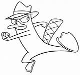Platypus Perry Coloring Pages Phineas Ferb Drawing Sketch Trace Drawings Cartoon Print Printable Color Cool Paintingvalley Kids Colouring Disney Getdrawings sketch template