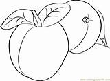 Apricots Coloring Apricot Pages Coloringpages101 Color Online Fruits sketch template