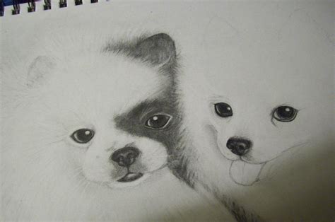 unfinished puppy drawing  kittycat  deviantart
