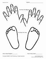 Toes Fingers Number Worksheet Grade Reviewed Curated Pre sketch template