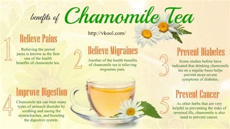 12 health benefits of chamomile tea for hair skin and whole health