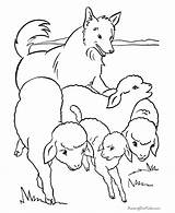 Coloring Sheep Farm Pages Dog Color Animal Herd Flock Kids Animals Print Printable Colouring Coloration Fun Sheet La Coloriage Activity sketch template