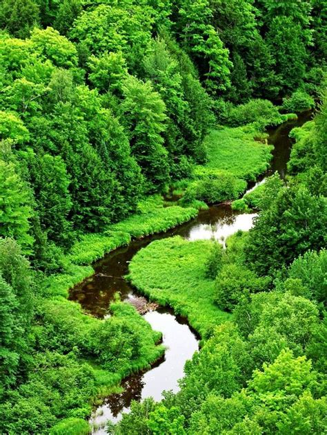 green images  pinterest nature paisajes  beautiful places