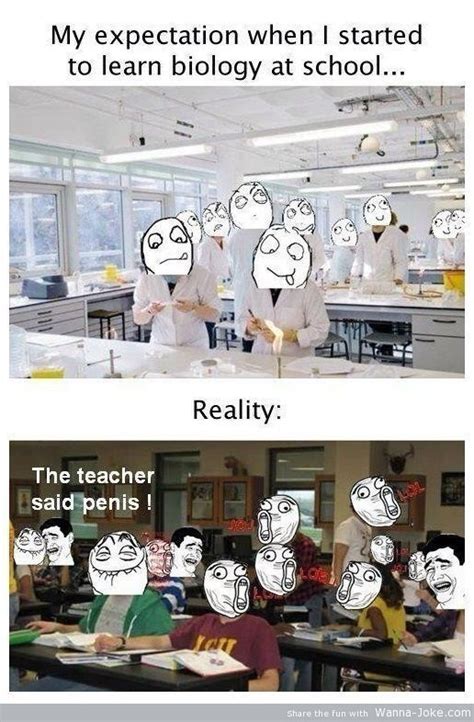 lol yes expectation vs reality funny memes biology