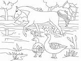Mewarnai Tk Kelas Hewan Binatang Lucu Peliharaan Imprimer Pola Mendidik Ulang Tahun Kls Planse Aneka Sketsa Colorat Albi Coloriages Animale sketch template