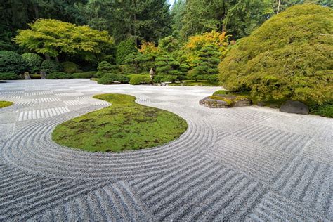 creating  zen garden  home plantura