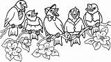 Vogel Pasari Uccelli Colorat Malvorlagen Pasarele Oiseau Kleurplaten Crenguta Planse Vogelhochzeit Malvorlage Zburatoare Coloriages Voegel Animasi Cinci Copac sketch template