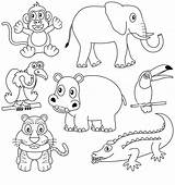 Animais Africanos Coloring Mamiferos Dieren Mamíferos Africains Selva Elefante Africani Coloritura Macaco Fauna sketch template