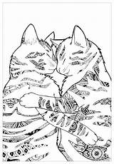 Coloring Cats Cat Pages Adults Animals Kids Cute Printable Two Print Playing Adult Coloriage Chat Dessin Animal Colorier Hugging Justcolor sketch template