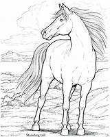 Mustang Coloring Horse Pages Realistic Marvellous Getcolorings Printable Stallion Color Print Getdrawings sketch template