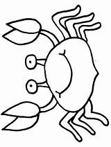 Animais Marinhos Krebs Caranguejos Krabbe Ausmalbilder Malvorlagen Colorat Aquaticos Copii Templates Crab2 Ausmalbild Coloring4free Cavalos Peixes sketch template