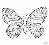 Supercoloring Schmetterling Butterfly Ausmalbild sketch template