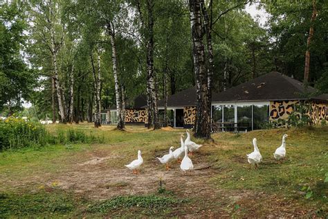 lake resort beekse bergen updated  prices campground reviews hilvarenbeek north brabant