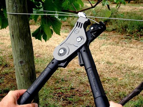 wire gripple tensioning tool isons nursery vineyard