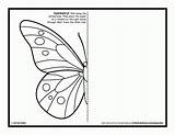 Symmetry Butterfly Kids Coloring Activity Drawing Pages Activities Printable Worksheets Sheets Grade Symmetrical Mirror Draw Template Artforkidshub Bug Color Pdf sketch template