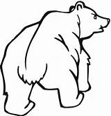 Bear Grizzly Coloring Pages Outline Bears Clipart Angry Cubs Printable Looks Clipartbest Supercoloring Color Drawings Categories sketch template