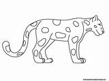 Jaguar Coloring Pages Printable Kids Animal Standing Related Post Rainforest sketch template