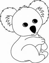 Koala Koalas Colorir Desenhos Getdrawings sketch template