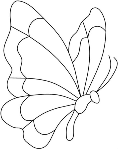 butterfly printables  coloring pages