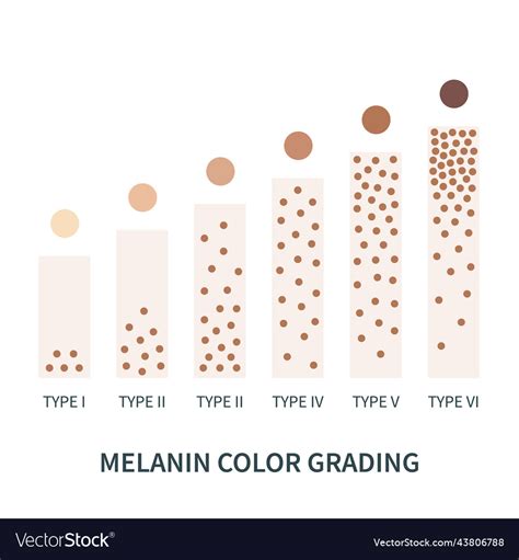 melanin skin tone color palette scheme design vector image