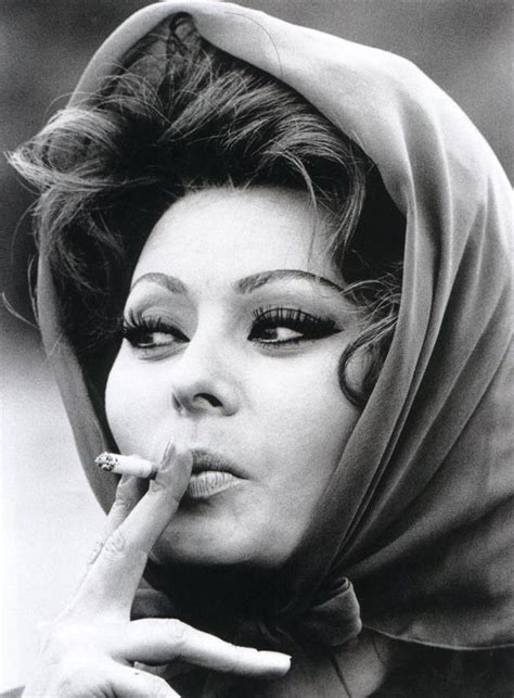 Sophia Loren Sofia Loren Sophia Loren Hollywood
