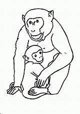 Coloring Gorilla Printable Pages Monkey Template Animal Pdf Cute Funny Templates Silverback Kids Popular Coloringhome Getcolorings Comments Gorillas Color sketch template